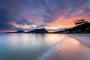 Picture of Shoal Bay, Port Stephens, New South Wales, Australia
