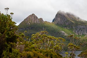 Picture of Cradle Mountain National Park, Davenport and Cradle Mountain, Tasmania, Australia