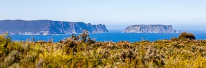 Picture of Cape Raoul, Tasman National Park, Tasmania, Australia