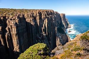 Picture of Cape Raoul, Tasman National Park, Tasmania, Australia