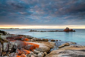 Picture of Mount William National Park, East Coast, Tasmania, Australia