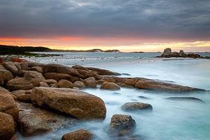 Picture of Mount William National Park, East Coast, Tasmania, Australia