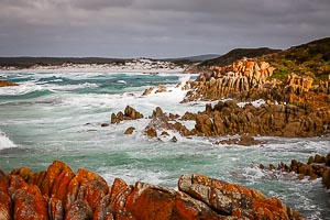 Picture of Mount William National Park, East Coast, Tasmania, Australia