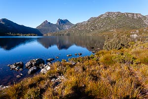 Picture of Cradle Mountain National Park, Davenport and Cradle Mountain, Tasmania, Australia