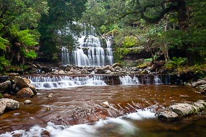 Picture of Liffey Falls, Davenport and Cradle Mountain, Tasmania, Australia