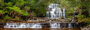 Picture of Liffey Falls, Davenport and Cradle Mountain, Tasmania, Australia