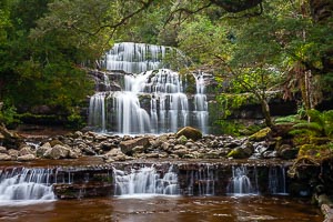 Picture of Liffey Falls, Davenport and Cradle Mountain, Tasmania, Australia