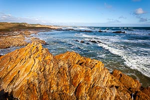 Picture of West Coast, West Coast and Wilderness, Tasmania, Australia