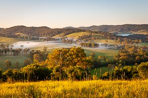 Picture of Barrington Tops National Park, Barrington Coast, New South Wales, Australia
