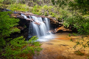 Picture of Wentworth Falls, Blue Mountains National Park, New South Wales, Australia