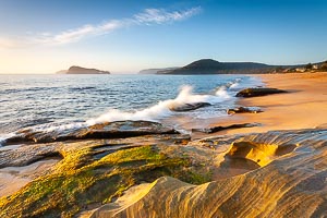 Picture of Pearl Beach, Central Coast, New South Wales, Australia