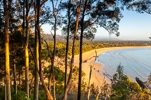 Picture of Umina Beach, Central Coast, New South Wales, Australia