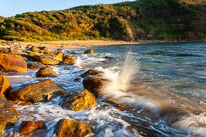 Picture of Bouddi National Park, Central Coast, New South Wales, Australia