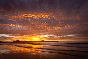 Picture of Umina Beach, Central Coast, New South Wales, Australia