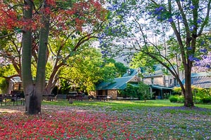 Picture of St Albans, Central Coast, New South Wales, Australia