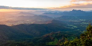 Picture of Border Ranges National Park, Northern Rivers, New South Wales, Australia