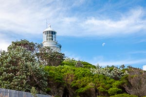Picture of Seal Rocks, Barrington Coast, New South Wales, Australia