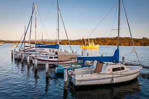 Picture of Saratoga, Central Coast, New South Wales, Australia