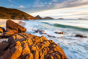 Picture of Box Beach, Port Stephens, New South Wales, Australia