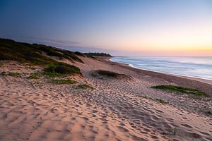 Picture of Shelly Beach, Central Coast, New South Wales, Australia