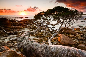 Picture of Margaret River, South West, Western Australia, Australia