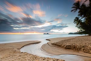 Picture of Ellis Beach, Far North Queensland, Queensland, Australia