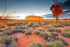 Picture of Uluru Kata Tjuta National Park, Central Australia, Northern Territory, Australia