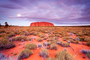 Picture of Uluru Kata Tjuta National Park, Central Australia, Northern Territory, Australia