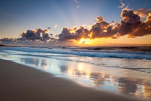 Picture of Shelly Beach, Central Coast, New South Wales, Australia