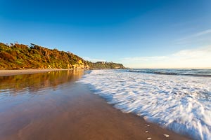 Picture of Jenny Dixon Beach, Central Coast, New South Wales, Australia