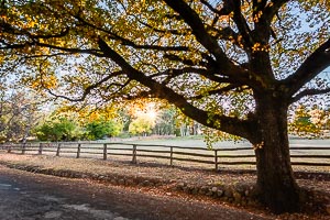 Picture of Hill End, Central West, New South Wales, Australia