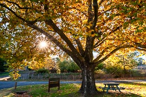 Picture of Hill End, Central West, New South Wales, Australia