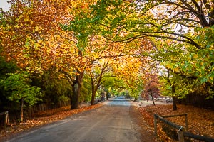 Picture of Hill End, Central West, New South Wales, Australia