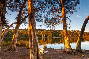 Picture of Copacabana, Central Coast, New South Wales, Australia