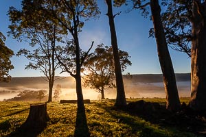 Picture of Wangat, Mid North Coast, New South Wales, Australia