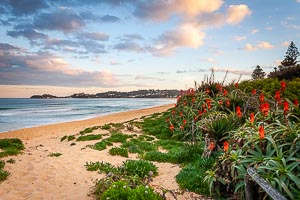 Picture of Wamberal, Central Coast, New South Wales, Australia