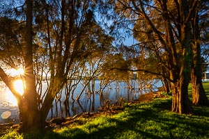 Picture of Green Point, Central Coast, New South Wales, Australia