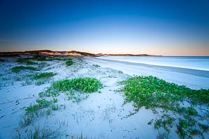 Picture of One Mile Beach, Port Stephens, New South Wales, Australia