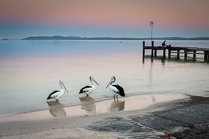 Picture of Nelson Bay, Port Stephens, New South Wales, Australia