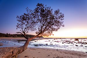 Picture of Bateau Bay, Central Coast, New South Wales, Australia