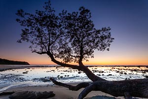 Picture of Bateau Bay, Central Coast, New South Wales, Australia