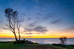 Picture of Shelly Beach, Central Coast, New South Wales, Australia
