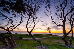 Picture of Shelly Beach, Central Coast, New South Wales, Australia
