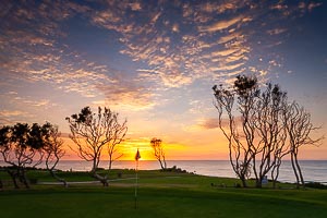 Picture of Shelly Beach, Central Coast, New South Wales, Australia