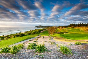 Picture of Shelly Beach, Central Coast, New South Wales, Australia