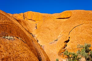 Picture of Uluru Kata Tjuta National Park, Central Australia, Northern Territory, Australia