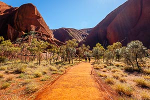 Picture of Uluru Kata Tjuta National Park, Central Australia, Northern Territory, Australia