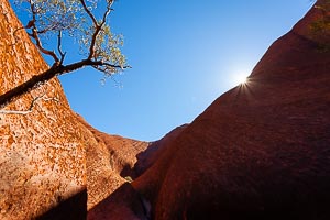 Picture of Uluru Kata Tjuta National Park, Central Australia, Northern Territory, Australia