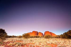 Picture of Uluru Kata Tjuta National Park, Central Australia, Northern Territory, Australia