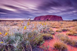 Picture of Uluru Kata Tjuta National Park, Central Australia, Northern Territory, Australia